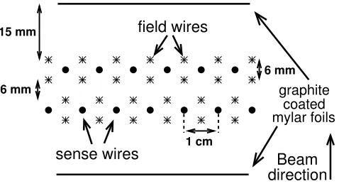 Figure 2. Drift Chamber segment with anodes and ﬁeld wires indicated by dots and asterisks respectively