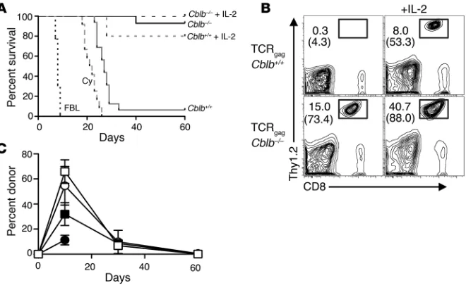 Figure 5Abrogating Cbl-b expression in tumor-reactive TCRgag cells during adoptive immunotherapy of disseminated leukemia