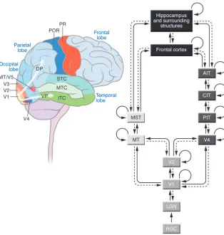 Figure 1Schematic illustration of the basic architec-