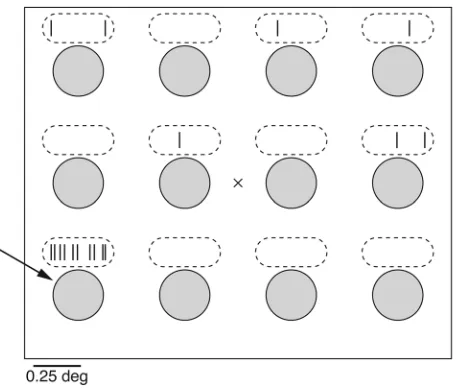 Figure 3Schematic definition of receptive fields. Neurons throughout the visual 