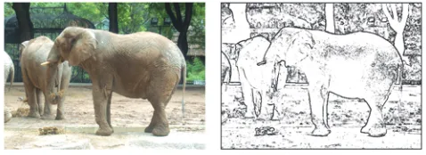 Figure 4An edge detection algorithm applied to the image on the left produced 