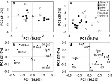 Fig. 7. Score and loading results for PC1 and PC2 from PCA analyses. Scores(d)are Macro (triangles), Light (squares) and Dark (circles)