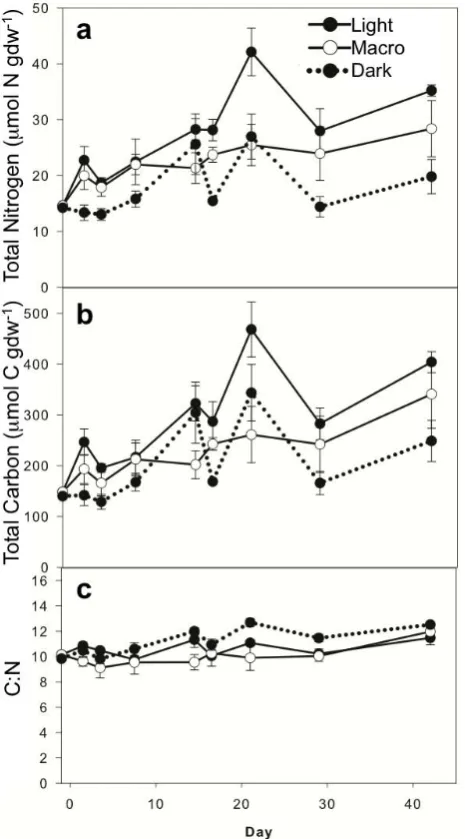 Fig. 1. Macroalgal biomass (a) and benthic chlorophyll a concen-trations for surface (0–1 cm) sediments (b)