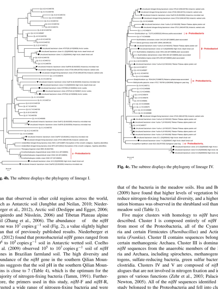Fig. 4b. The subtree displays the phylogeny of lineage I.