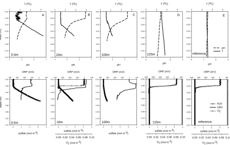 Fig. 2   