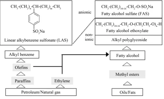 Figure 4. Production of surfactants and examples of products.                  
