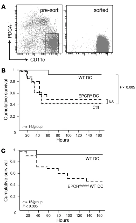 Figure 4EPCR+ DCs are required for the therapeutic efficacy of 5A-aPC. (