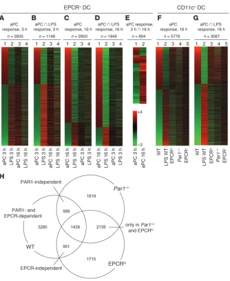 Figure 5APC effects on LPS-induced gene expression in DCs. (A–G) Heat maps depicting the effect of aPC treatment on the mRNA abundance of specif-ic sets of genes, analyzed in FACS-selected EPCR+ DCs (A–E) or in sorted CD11chi spleen DCs comprising the EPCR