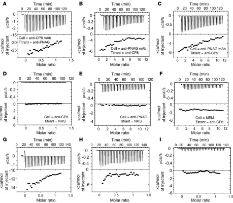 Figure 7Isothermal calorimetry analysis of the binding of mAb to CP8 or PNAG with polyclonal rabbit antisera to PNAG, CP8, or CP5