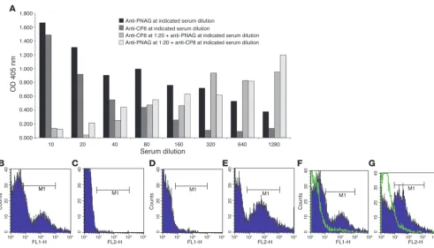 Figure 5Effect of mixing antibodies to PNAG and CP8 on binding of complement and antibody to S