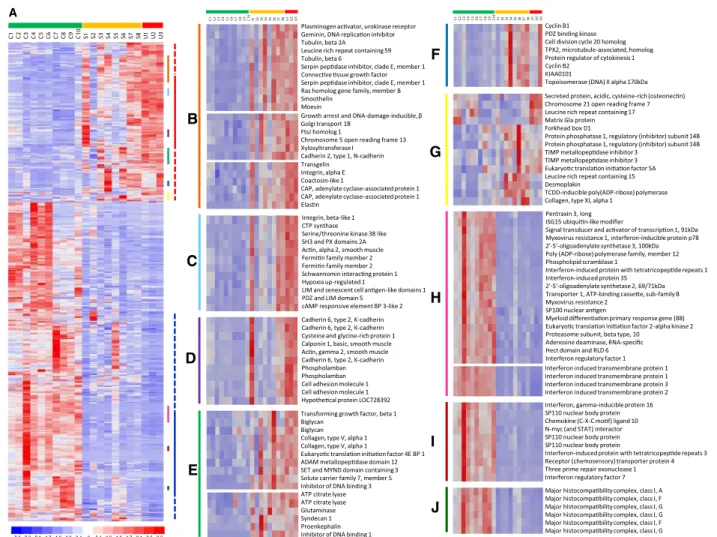 Figure 4 Gene expression profiles of control, SSc-ILD, and IPF pulmonary fibroblasts. A) Supervised hierarchical clustering of probes