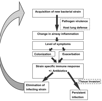 Figure 1 Proposed model of bacterial exacerbation pathogenesis in COPD. Copyright © 2006