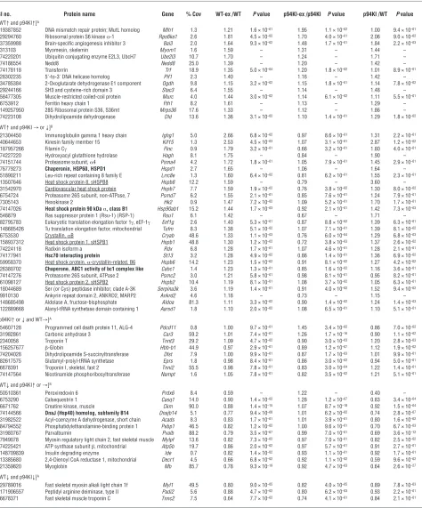 Table 1Protein expression profiles of WT and p94KI skeletal muscle before and after eccentric exercise
