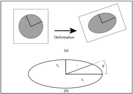 Figure 2. (a) A circle prior to any deformation is transformed into an ellipse during deformation
