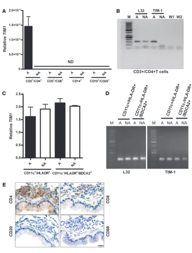 Figure 6Cellularity and the expression of human TIM-1. (