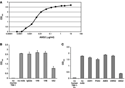 Figure 1Binding and blocking activities of anti–TIM-1 mAbs. (A) Representative ELISA binding curve showing anti-human TIM-1 mAb A6G2 binding to immobilized human TIM-1–Fc
