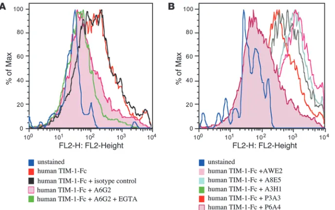 Figure 3Human TIM-1 protein binding to human 