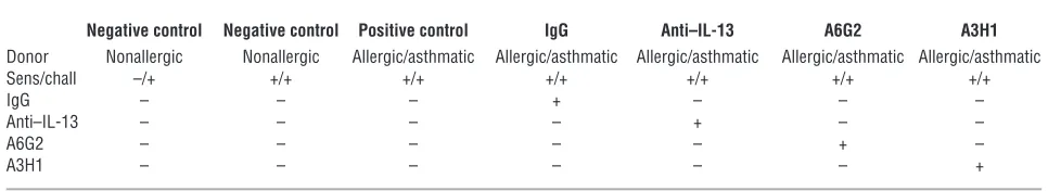Figure 4Protocol for induction of experimental asthma in hu-PBMC SCID mice. Diagram of the protocol showing antibody delivery, allergen sensitization, and 