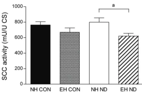 Figure 4  Activity of complex III (C-III) in the diaphragm.