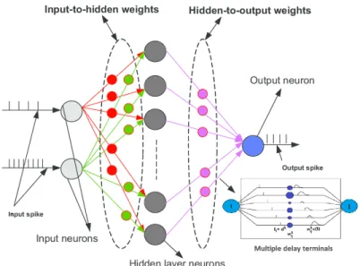 Figure 2.9: Spiking neural network with delay path