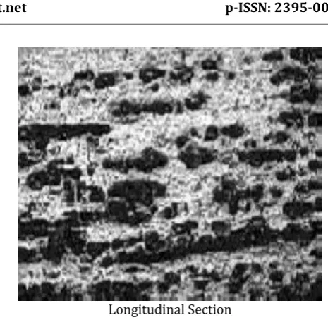 Fig:1 The structure of the material after (a) rolling at rolling at 10007500C, strain 0.14, (b) rolling at 9000C, strain 0.19, (c) 0C, strain 0.2, (d) rolling at 13000C, strain 0.18 [27] 