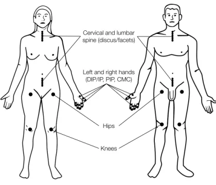 Figure 1.2: The different joint locations assessed for ROA.