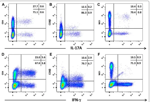Figure 5 Intracellular expression of IL-17A and IFN-γ by activated bovine T cell subsets