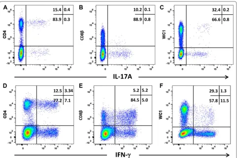 Figure 6 Intracellular expression of IL-17A and IFN-γ by activated ovine T cell subsets