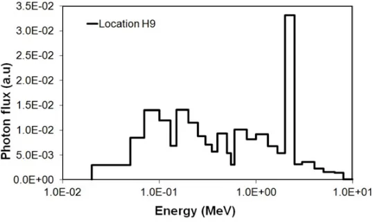 Figure 4. Photon spectrum inside the water channel located into the OSIRIS reﬂector.