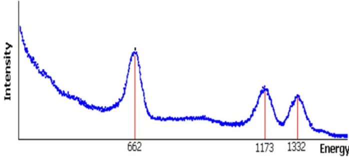 Figure 4. Electrical simulation of the output of the chain versus time for a single injected current pulse.