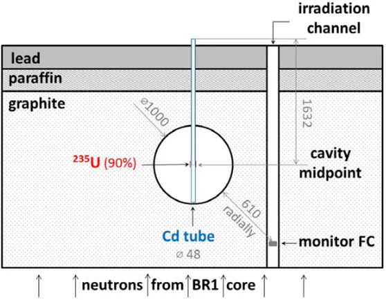 Figure 2. Schematic drawing of the MARK III in the cavity and the monitor ﬁssion chamber