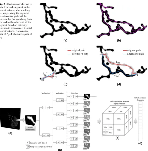 Fig. 2 Illustration of alternativepath ofreconstructions,path. For each segment in thereconstructions, after maskingthe image along the segment,the alternative path will besearched by fast marching fromone end to the other end of thesegment based on intensity.a neuron to reconstruct, b initial c alternative Lij, d alternative path ofLpq