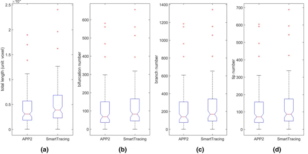 Table 1 The running time of each procedure and the quantitative neuron morphology measurement of 10 selected example datasets
