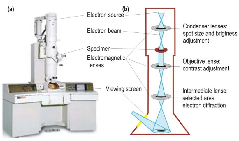 Figure 2.5: Transmission electron microscope. (a) Jeol JEM-2011 (b) Scheme of the beam paththrough the microscope [Adapted from57] .