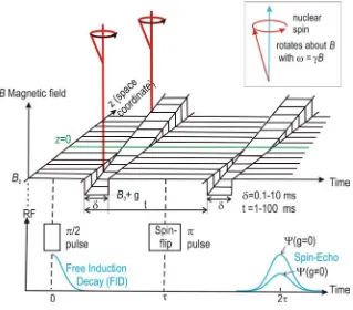 Figure 2.8: Principle of pulsed-ﬁeld gradient (PFG) NMR. An inhomogeneous ﬁeld is appliedover two short time intervalsgiven example, is generated by the Hahn echo sequence (two rf pulses referred to aspulses, respectively) δand leads to an attenuation of the NMR signal which, in theπ  2/ and π73 .