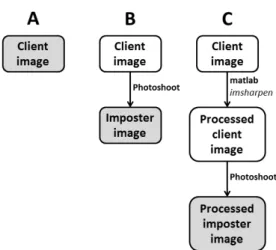 Figure 1. The standard database design consisting of client (A) and imposter images (B), is augmented with processed  im-poster images (C).