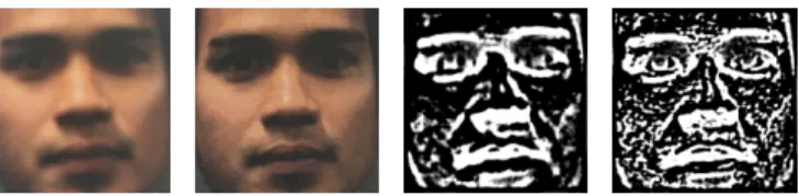 Figure 2. Imposter images captured with an iPhone 6s camera from a distance of 6cm (i) and 9cm (ii)