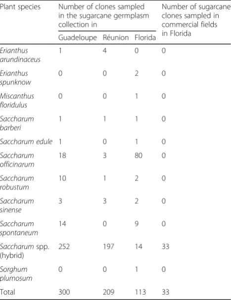 Table 1 Saccharum species and sugarcane related speciessampled in this study