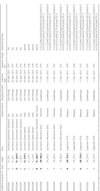 Table 3 Characteristics of the full genome sequences of the new Mastrevirus isolates recovered from plants collected in Florida and Guadeloupe