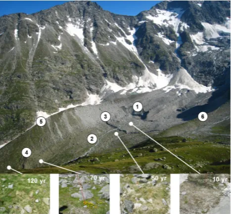Fig. 1. The foreﬁeld of the Damma Glacier (Switzerland) as it devel-oped in response to the continuous retreat of the glacier