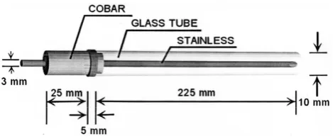 Fig 1. Cartoon of the glas sealed Langmuir electrode  