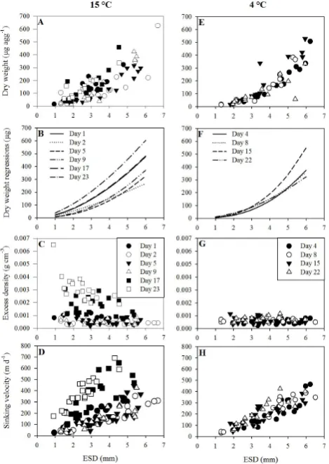 Fig. 2.  Aggregate dry weight (A, E), dry weight power regressions(B, F), excess density (C, G), and sinking velocity (D, H) plot-ted against aggregate equivalent spherical diameter (ESD) for the15 and 4 ◦C treatments