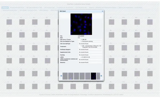 Figure 3.5: Web plate layout