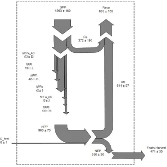 Fig. 7. Sankey plot of the carbon cycle of the studied agro-ecosystem for the year 2010