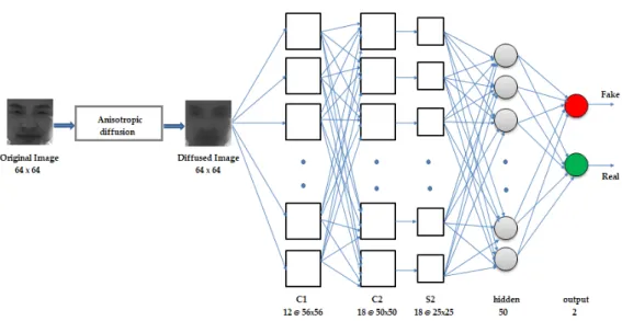 Figure 1. Convolutional neural network (CNN) architecture. 