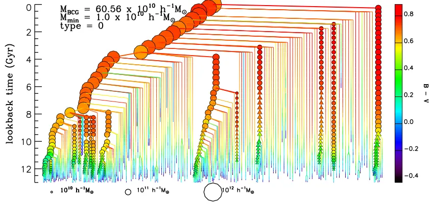 Figure 1.9: The merger tree of a Brightest Cluster Galaxy, from the modeling of De Lucia & Blaizot(2007)