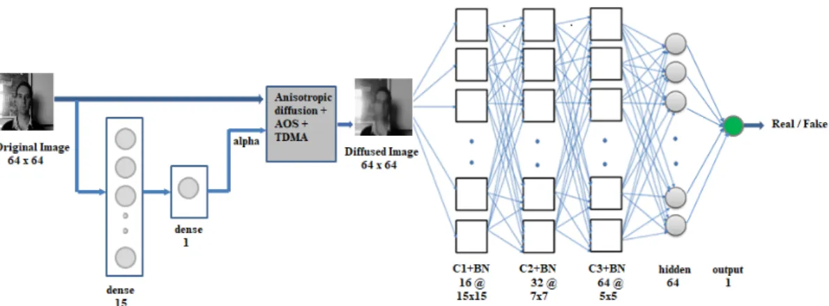 Figure 1. End-to-end architecture using the Specialized Convolutional Neural Network (SCNN)  (alpha is learned by the network)