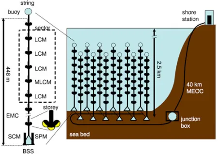 Figure 1. A schematic view of the ANTARES detector layout.The main elements of the ANTARES detector are outlined in theﬁgure.