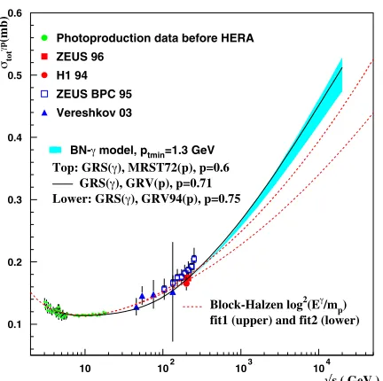 Figure 2. Total photoproduction cross-section and its descriptionwith the BN model, and with the analytical models by Block andcollaborators [10].