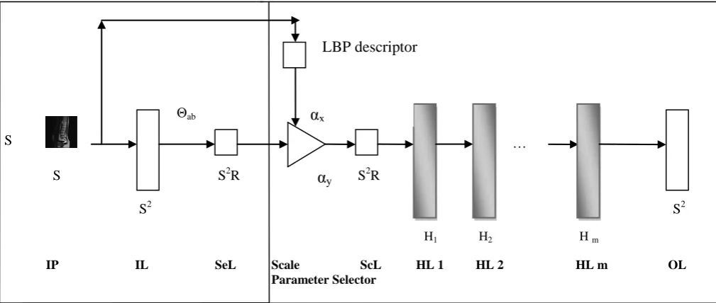Figure 1. TACS-SDANN architecture 
